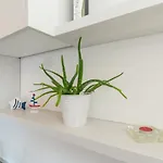Apartament Keran Sukošan